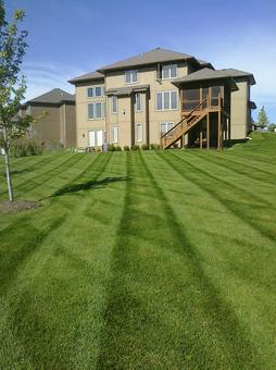 Residential Lawn Maintenance Care